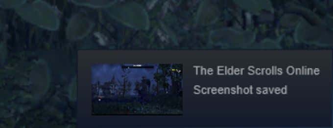 Take Your Screenshot In-Game image