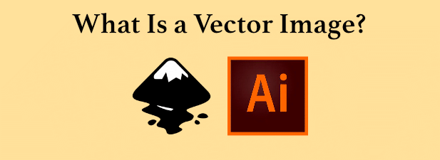 What Is a Vector Image & How To Make & View One image